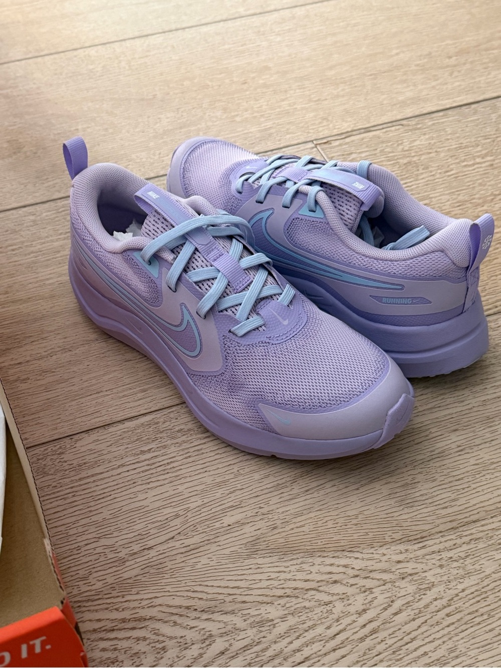 Nike Youth Lavender and Light Blue Running Shoes